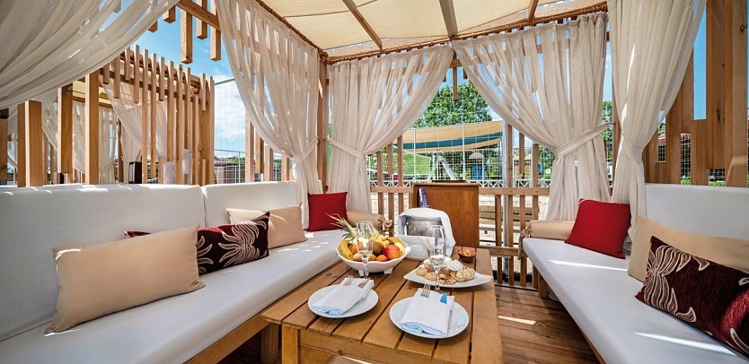 Trendy Verbena Beach