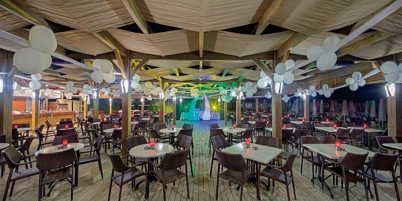 Trendy Verbena Beach