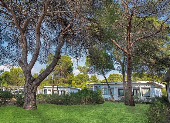 Alborea Ecolodge Resort