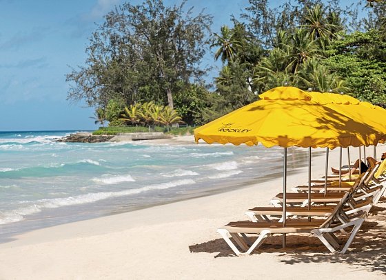 The Rockley by Ocean Hotels Barbados