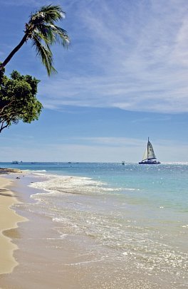 Treasure Beach Art Hotel, An Autograph Collection All-Inclusive Resort