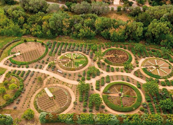 Grand Hotel Cala Rossa - Kräutergarten