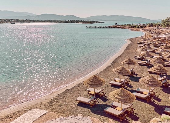 Anda Barut Collection