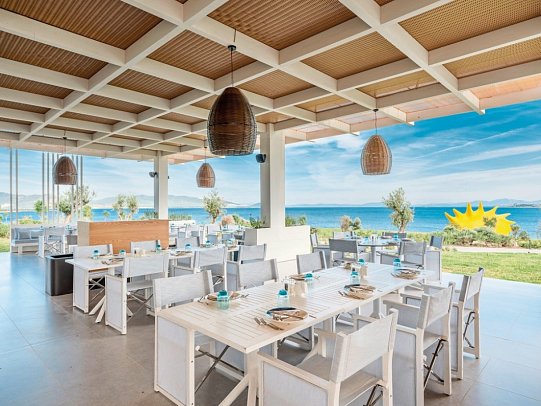 Anda Barut Collection