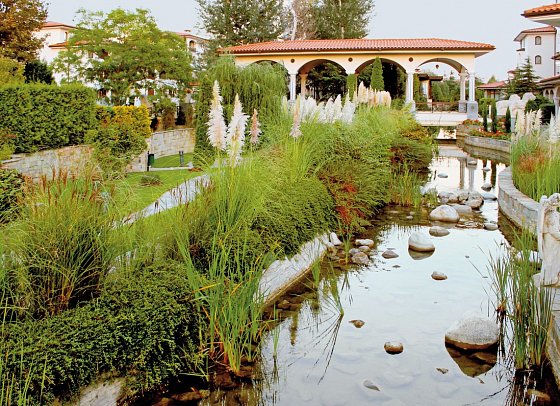 Helena Park
