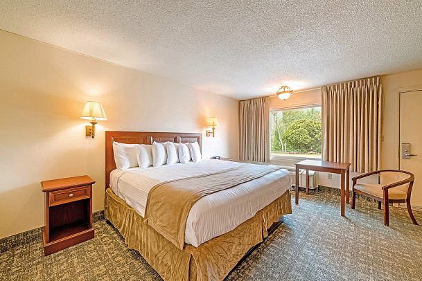 Town and Country Inn & Resort - Wohnbeispiel 1 Room (Standard) (Zimmercodierung UG1)