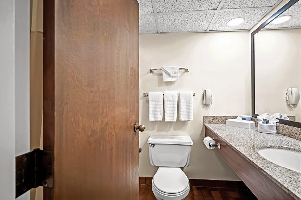 Best Western Merry Manor Inn - Wohnbeispiel, Standard 1 King Bed (Zimmercodierung UG1)