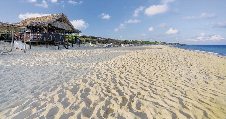 Valentin Perla Blanca