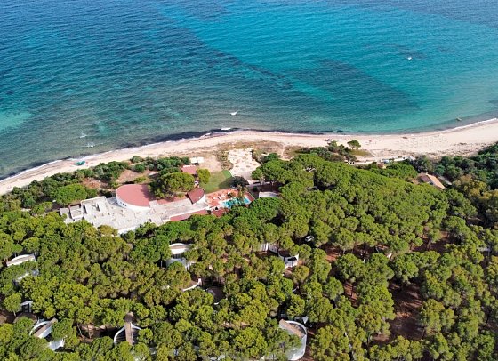 Mare Pineta