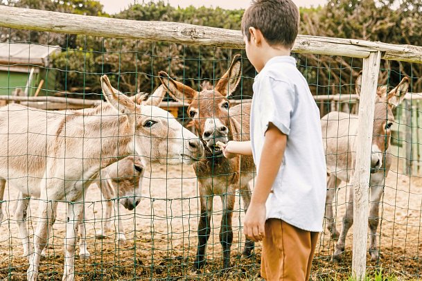 Falkensteiner Resort Capo Boi