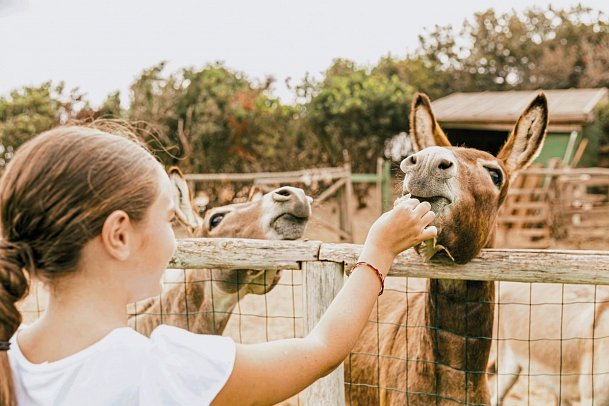Falkensteiner Resort Capo Boi