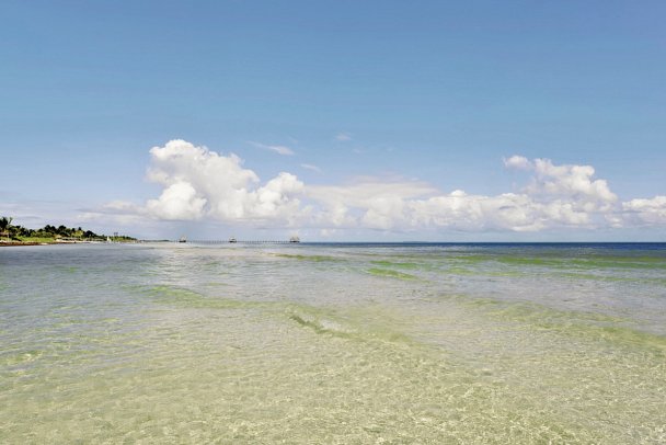 Iberostar Origin Daiquiri