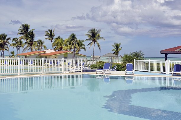 Starfish Cayo Guillermo