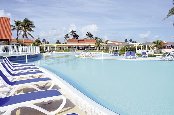 Starfish Cayo Guillermo