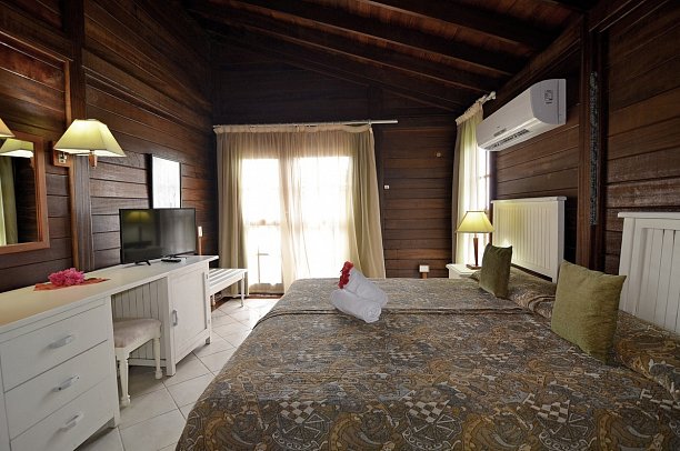 Starfish Cayo Guillermo