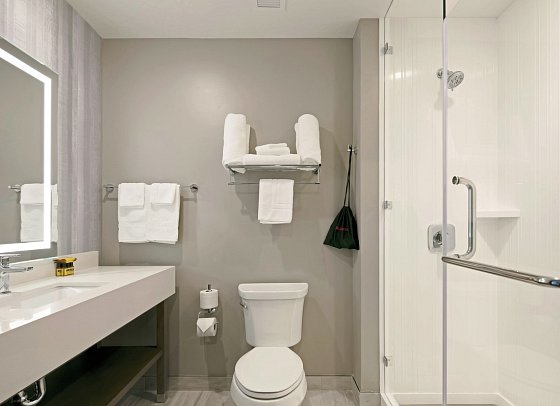 Best Western Plus Settlers Point