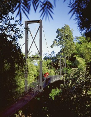 Four Seasons Tented Camp Golden Triangle