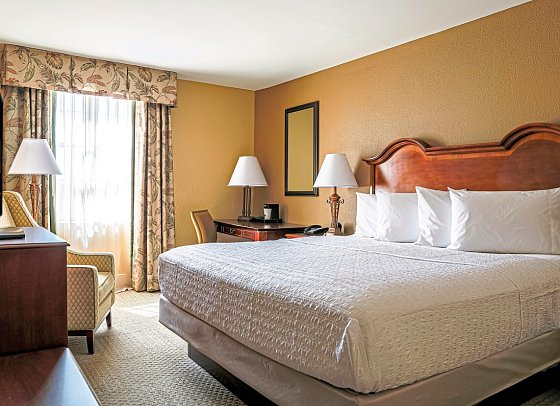 Hampton Inn Charleston-Historic District - Wohnbeispiel One King (Zimmercodierung UG2)