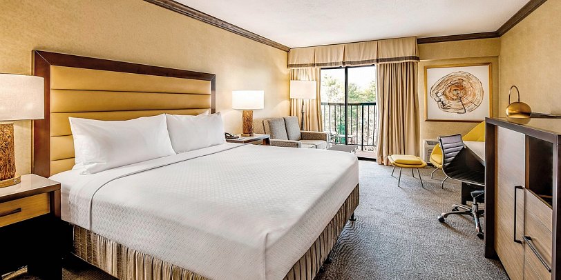 Crowne Plaza Resort Asheville - Wohnbeispiel Standard (Zimmercodierung UG1)