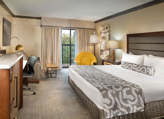 Crowne Plaza Resort Asheville - Wohnbeispiel One King Standard