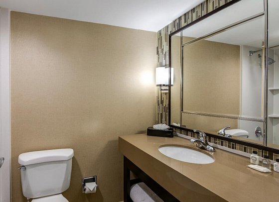 Crowne Plaza Resort Asheville - Beispiel Bad