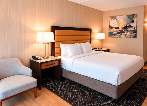 Crowne Plaza Resort Asheville - Wohnbeispiel One King Standard balcony