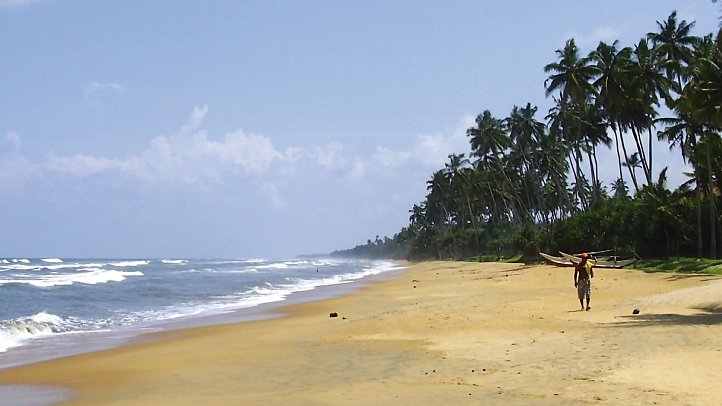 Siddhalepa Ayurveda Resort