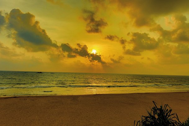 Thaala Bentota Resort