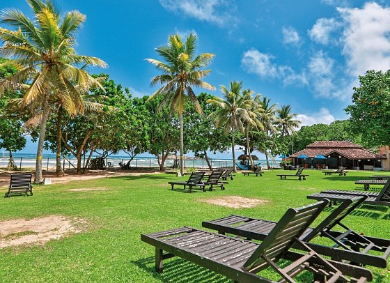 The Palms Hotel