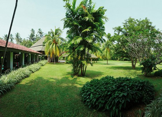 The Palms Hotel