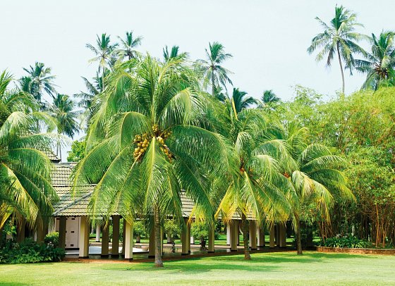 The Palms Hotel