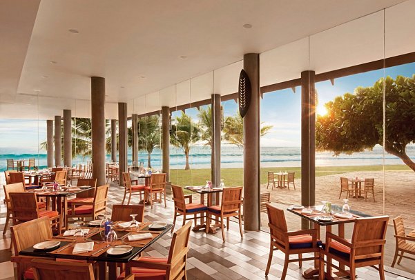 Hikka Tranz by Cinnamon