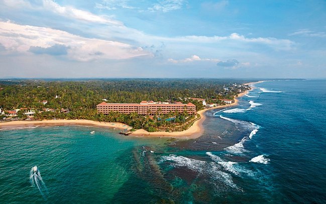 Hikka Tranz by Cinnamon