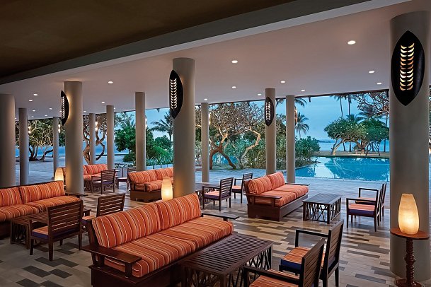 Hikka Tranz by Cinnamon