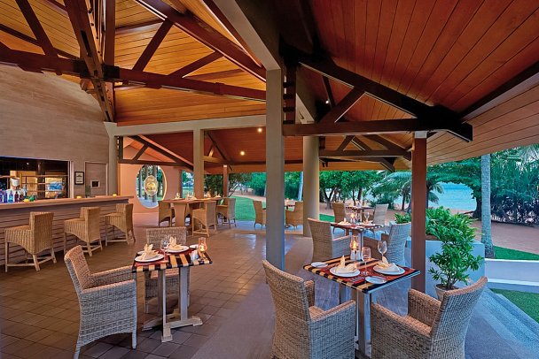 Hikka Tranz by Cinnamon