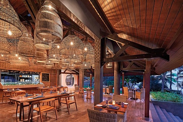 Hikka Tranz by Cinnamon