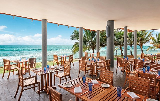 Hikka Tranz by Cinnamon