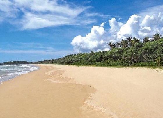 Pullmann Bentota Resort & Spa