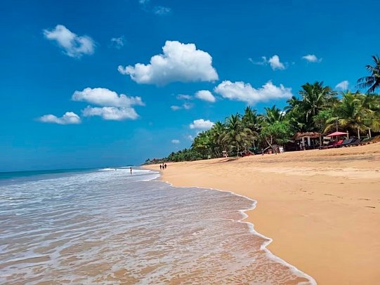 Temple Tree Resort & Spa