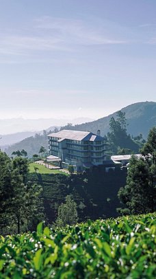 Heritance Tea Factory Hotel