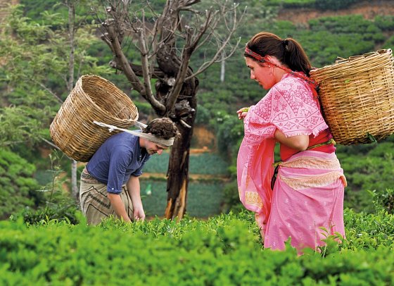 Heritance Tea Factory Hotel