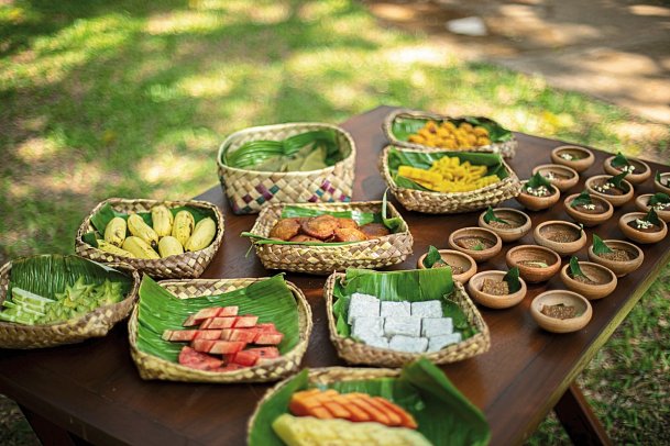 Sigiriya Village