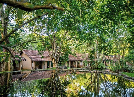 Sigiriya Village