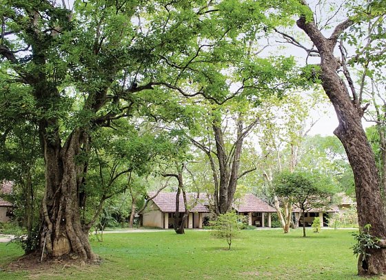 Sigiriya Village