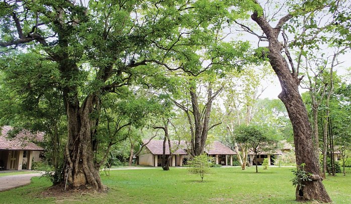 Sigiriya Village