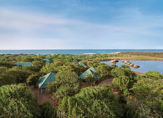 Cinnamon Wild Yala