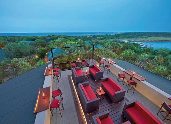 Cinnamon Wild Yala