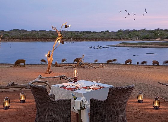 Cinnamon Wild Yala