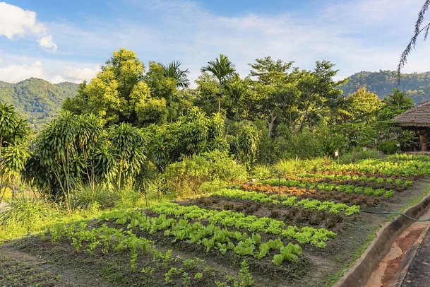 Panviman Chiang Mai Spa Resort