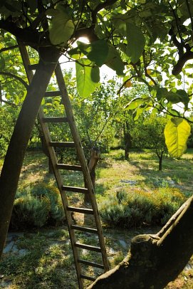 Agriturismo Terrenia
